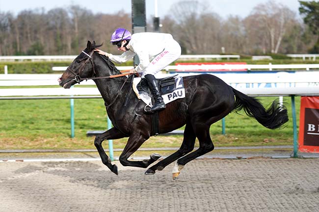 Photo d'arrivée de la course pmu PRIX DE DENGUIN à PAU le Mardi 20 janvier 2026