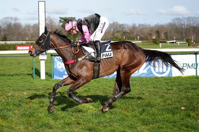 Photo d'arrivée de la course pmu PRIX DE GRAMONT à PAU le Mardi 20 janvier 2026
