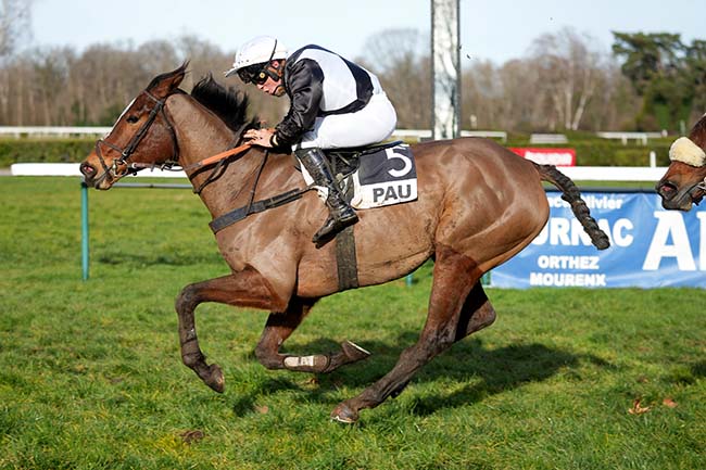 Photo d'arrivée de la course pmu PRIX JEAN BERNET à PAU le Mardi 20 janvier 2026