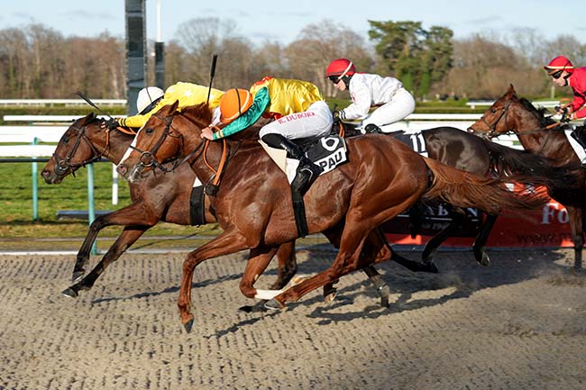 Photo d'arrivée de la course pmu PRIX DE RONTIGNON à PAU le Mardi 20 janvier 2026