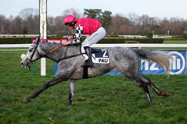 Photo d'arrivée de la course pmu PRIX DU PIC DU MIDI à PAU le Mardi 20 janvier 2026
