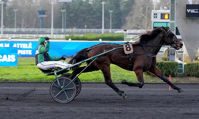 Photo d'arrivée de la course pmu PRIX DE SAINT-OMER à PARIS-VINCENNES le Mardi 20 janvier 2026