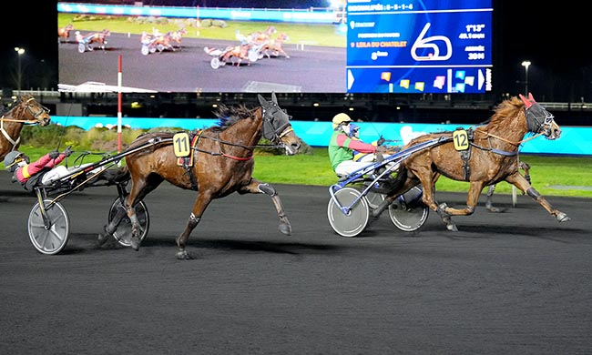 Photo d'arrivée de la course pmu PRIX DE FALAISE à PARIS-VINCENNES le Mardi 20 janvier 2026