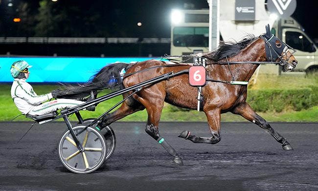 Photo d'arrivée de la course pmu PRIX DE TALENCE à PARIS-VINCENNES le Mardi 20 janvier 2026