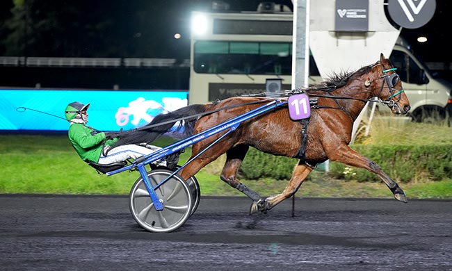 Photo d'arrivée de la course pmu PRIX DE SAINTE-GAUBURGE à PARIS-VINCENNES le Mardi 20 janvier 2026