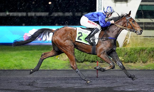 Photo d'arrivée de la course pmu PRIX DE PUY GUILLAUME à PARIS-VINCENNES le Mardi 20 janvier 2026