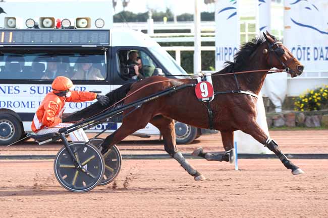 Photo d'arrivée de la course pmu PRIX UNE DE MAI à CAGNES-SUR-MER le Mercredi 21 janvier 2026