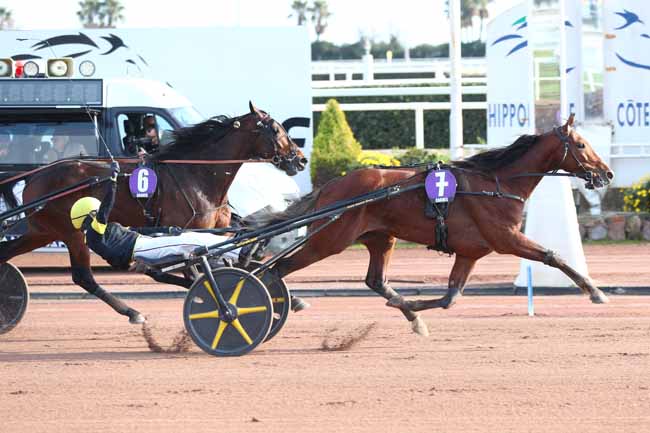 Photo d'arrivée de la course pmu PRIX DES ANCOLIES à CAGNES-SUR-MER le Mercredi 21 janvier 2026