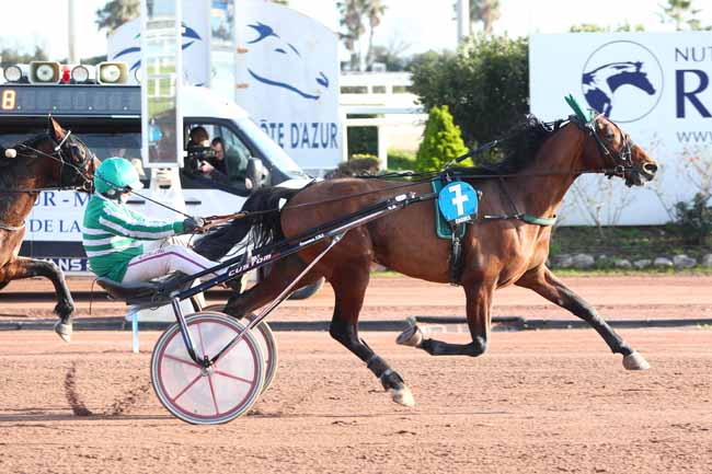 Photo d'arrivée de la course pmu PRIX GELINOTTE à CAGNES-SUR-MER le Mercredi 21 janvier 2026