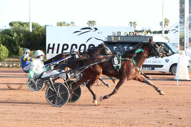 Photo d'arrivée de la course pmu PRIX TIGRE ROYAL à CAGNES-SUR-MER le Mercredi 21 janvier 2026