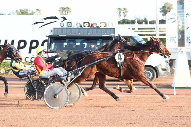 Photo d'arrivée de la course pmu PRIX DU CAIRE GROS à CAGNES-SUR-MER le Mercredi 21 janvier 2026