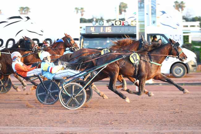 Photo d'arrivée de la course pmu PRIX RASTEL BIHAN à CAGNES-SUR-MER le Mercredi 21 janvier 2026