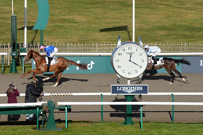Photo d'arrivée de la course pmu PRIX DE LA HAUTE POMMERAIE à CHANTILLY le Mercredi 21 janvier 2026