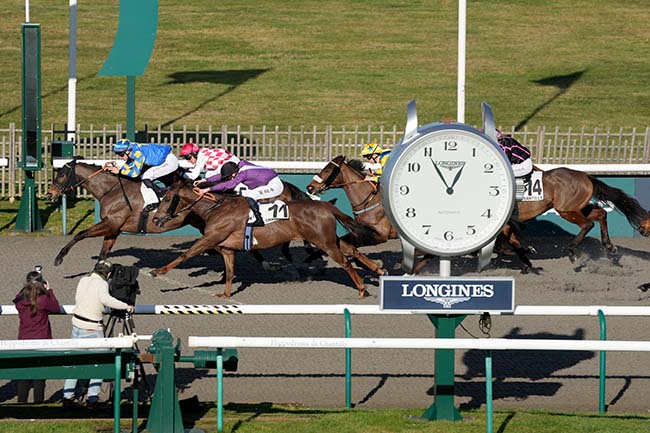 Photo d'arrivée de la course pmu PRIX DU CHEMIN DE CHANTILLY à CHANTILLY le Mercredi 21 janvier 2026