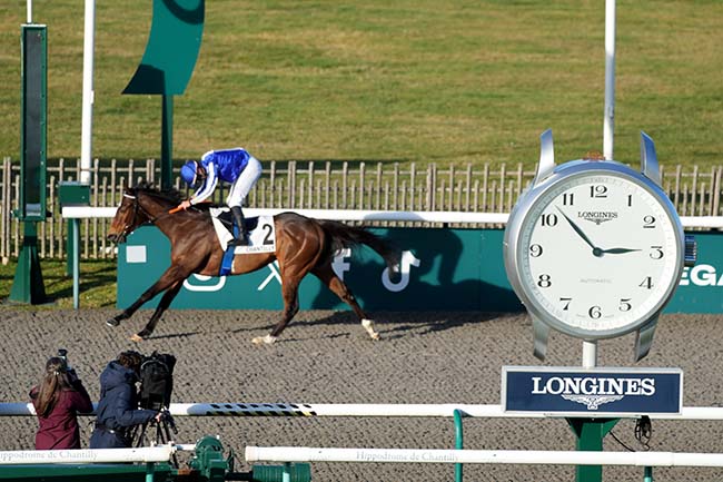 Photo d'arrivée de la course pmu PRIX DU CHEMIN DE COMPOSTELLE à CHANTILLY le Mercredi 21 janvier 2026