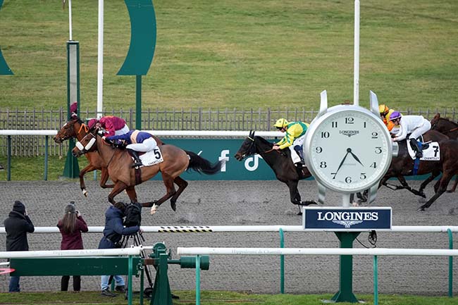 Photo d'arrivée de la course pmu PRIX DU CHEMIN ROYAL à CHANTILLY le Mercredi 21 janvier 2026