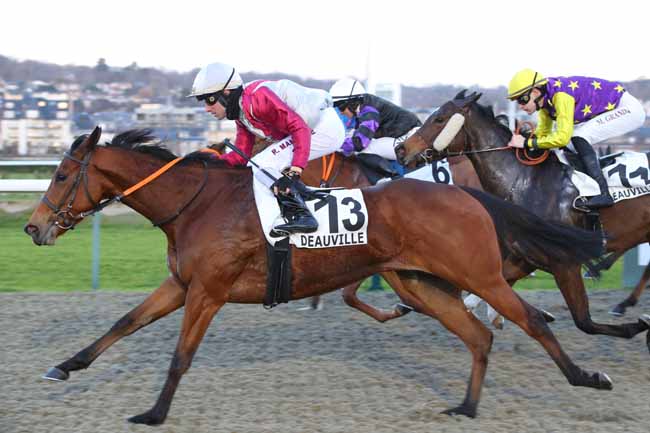 Photo d'arrivée de la course pmu PRIX DE LA MARE DE VAUVILLE à DEAUVILLE le Jeudi 22 janvier 2026