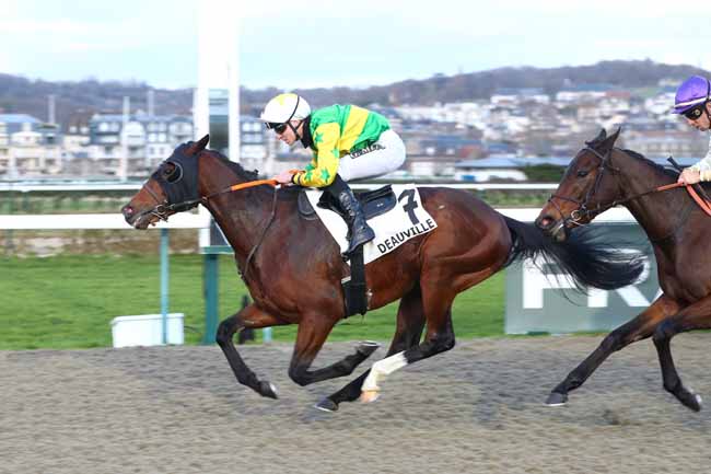 Photo d'arrivée de la course pmu PRIX DES DUNES DE BIVILLE à DEAUVILLE le Jeudi 22 janvier 2026