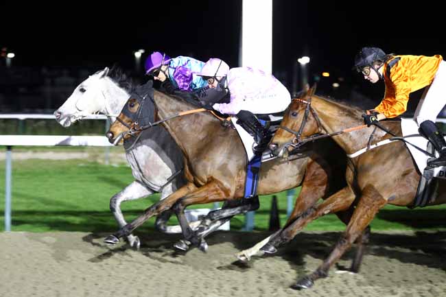 Photo d'arrivée de la course pmu PRIX DE L'EPAVE DU CERONS à DEAUVILLE le Jeudi 22 janvier 2026
