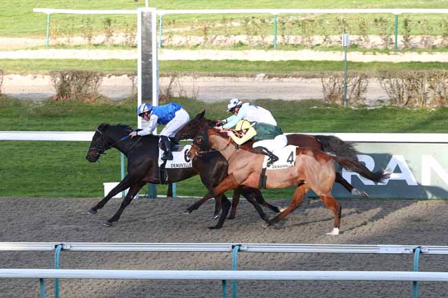 Photo d'arrivée de la course pmu PRIX DE SUBLES à DEAUVILLE le Vendredi 23 janvier 2026