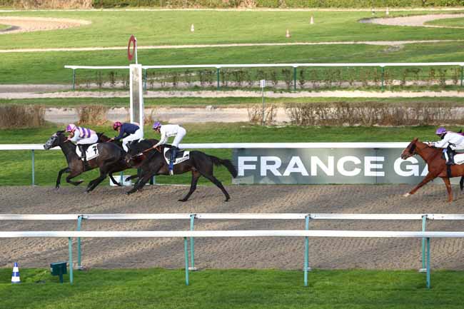Photo d'arrivée de la course pmu PRIX DU SARCOPHAGE MEROVINGIEN à DEAUVILLE le Vendredi 23 janvier 2026