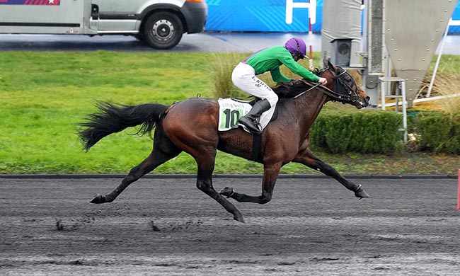 Photo d'arrivée de la course pmu PRIX CAMILLE BLAISOT à PARIS-VINCENNES le Dimanche 25 janvier 2026