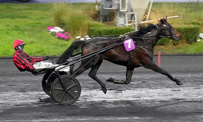 Photo d'arrivée de la course pmu PRIX «LE PARISIEN» (PRIX JEAN-RENE GOUGEON) à PARIS-VINCENNES le Dimanche 25 janvier 2026