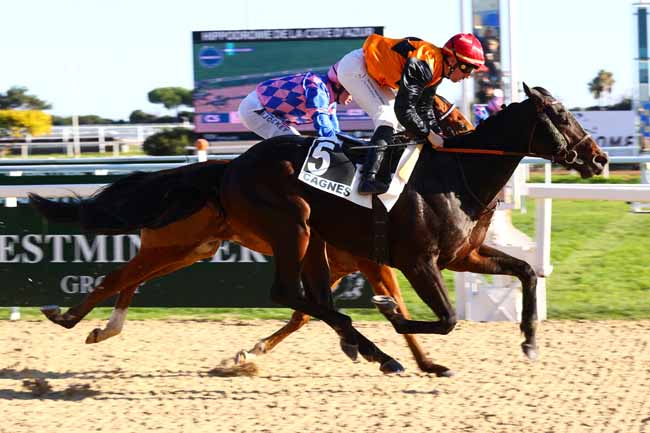 Photo d'arrivée de la course pmu PRIX BONNARD à CAGNES-SUR-MER le Lundi 26 janvier 2026