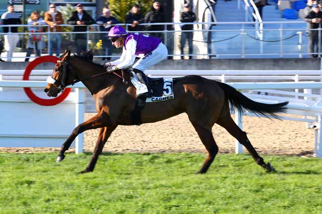 Photo d'arrivée de la course pmu PRIX DE LA CANEBIERE à CAGNES-SUR-MER le Lundi 26 janvier 2026