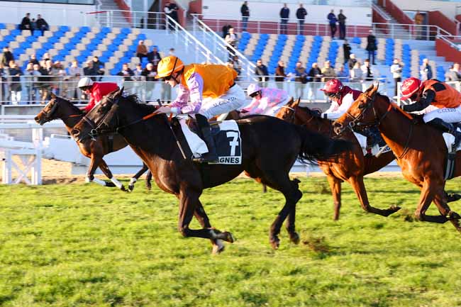 Photo d'arrivée de la course pmu PRIX YVES BACHELIER à CAGNES-SUR-MER le Lundi 26 janvier 2026