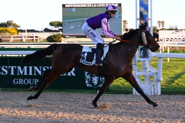Photo d'arrivée de la course pmu PRIX DE LA DURANCE à CAGNES-SUR-MER le Lundi 26 janvier 2026