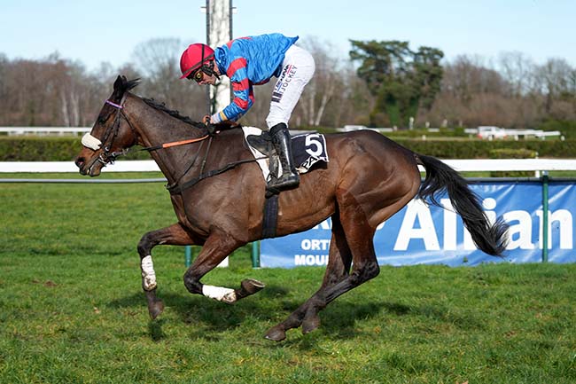 Photo d'arrivée de la course pmu PRIX D'URT à PAU le Mercredi 28 janvier 2026