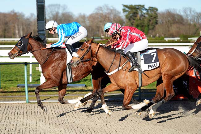 Photo d'arrivée de la course pmu PRIX D'ARAUJUZON à PAU le Mercredi 28 janvier 2026