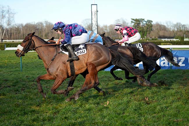 Photo d'arrivée de la course pmu PRIX WILLIAM KNAPP THORN à PAU le Mercredi 28 janvier 2026