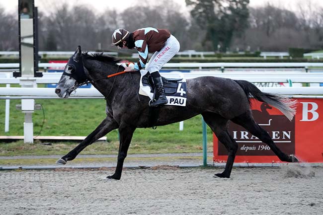 Photo d'arrivée de la course pmu PRIX DE LASCLAVERIES à PAU le Mercredi 28 janvier 2026