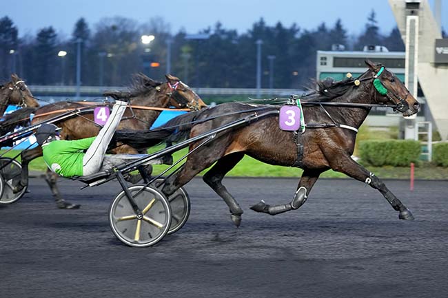 Photo d'arrivée de la course pmu PRIX JEAN ET ANDRE DE LA VAISSIERE à PARIS-VINCENNES le Jeudi 29 janvier 2026