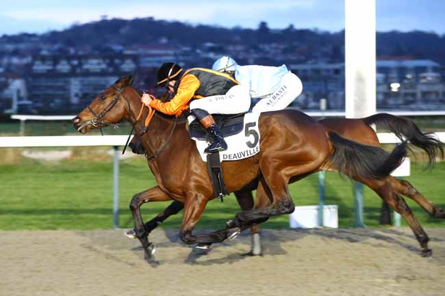 Photo d'arrivée de la course pmu PRIX DES DOCKS VAUBAN à DEAUVILLE le Jeudi 29 janvier 2026
