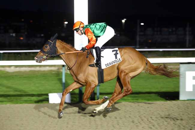 Photo d'arrivée de la course pmu PRIX DE PEGASUS BRIDGE à DEAUVILLE le Jeudi 29 janvier 2026