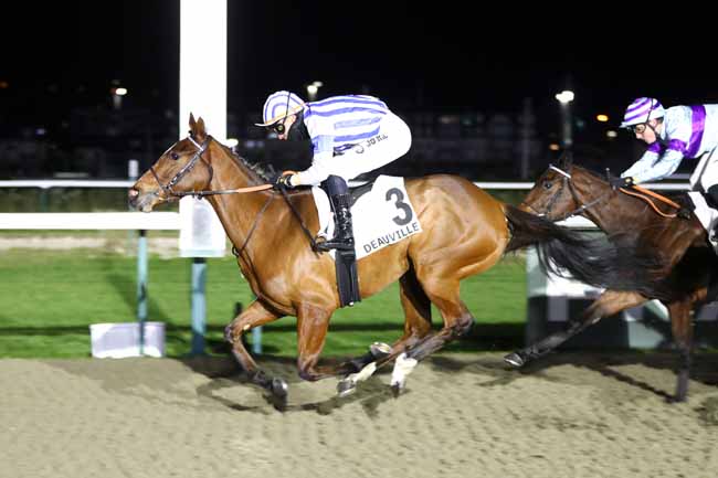 Photo d'arrivée de la course pmu PRIX DE VIEUX-LA-ROMAINE à DEAUVILLE le Jeudi 29 janvier 2026