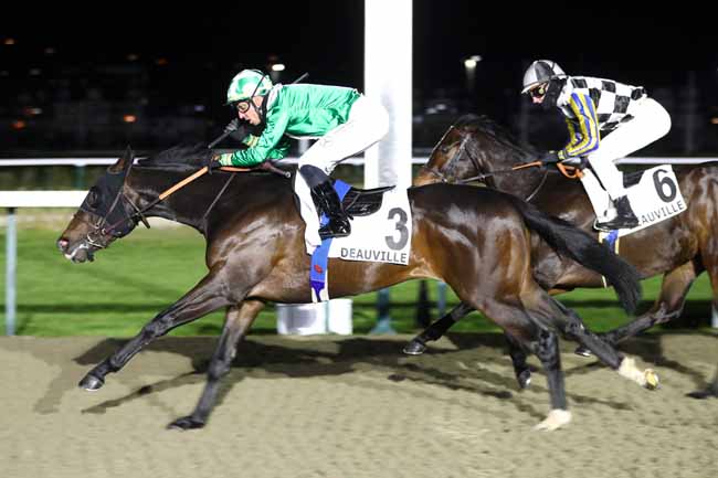 Photo d'arrivée de la course pmu PRIX D'AREGENUA à DEAUVILLE le Jeudi 29 janvier 2026