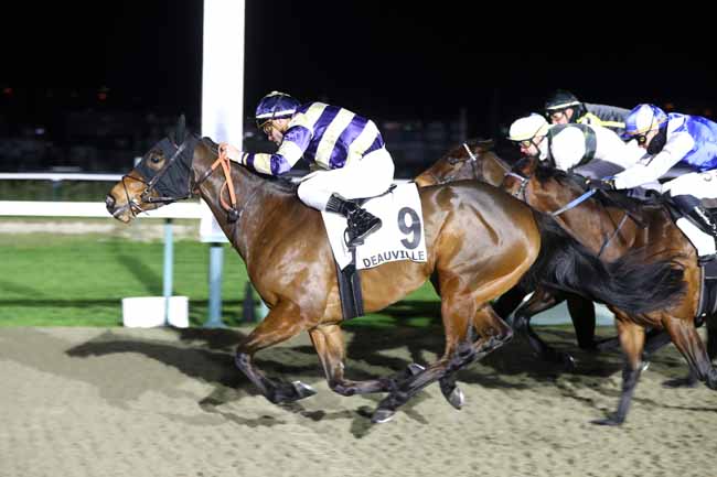 Photo d'arrivée de la course pmu PRIX DE LA CANCE à DEAUVILLE le Jeudi 29 janvier 2026