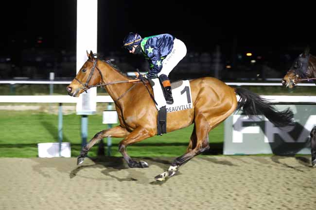 Photo d'arrivée de la course pmu PRIX DE NEUFBOURG à DEAUVILLE le Jeudi 29 janvier 2026