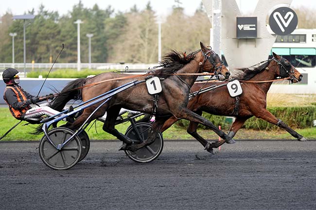 Photo d'arrivée de la course pmu PRIX DE FIGEAC à PARIS-VINCENNES le Vendredi 30 janvier 2026