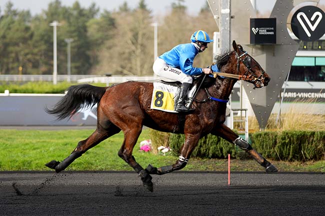 Photo d'arrivée de la course pmu PRIX DE BRIEY à PARIS-VINCENNES le Vendredi 30 janvier 2026