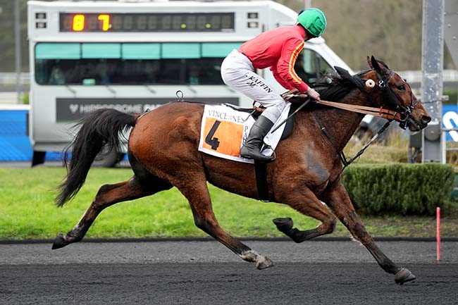 Photo d'arrivée de la course pmu PRIX DE LANNEMEZAN à PARIS-VINCENNES le Vendredi 30 janvier 2026