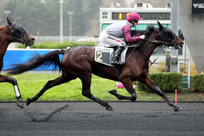 Photo d'arrivée de la course pmu PRIX DE DOZULE à PARIS-VINCENNES le Samedi 31 janvier 2026