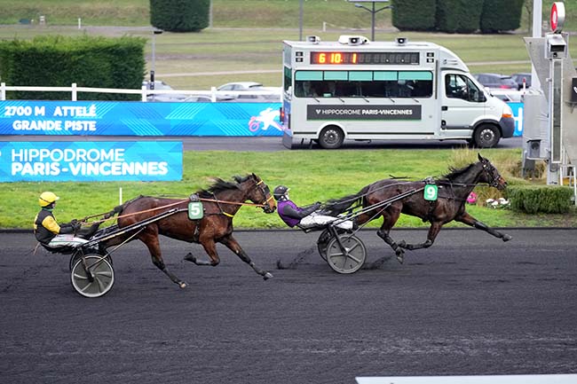 Photo d'arrivée de la course pmu PRIX DE LAVAL à PARIS-VINCENNES le Samedi 31 janvier 2026