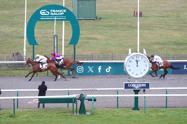 Photo d'arrivée de la course pmu PRIX DE LA QUEUSSE DE GARGANTUA à CHANTILLY le Samedi 31 janvier 2026