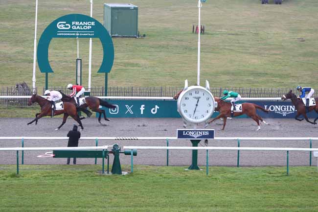 Photo d'arrivée de la course pmu PRIX DU CARREFOUR D'ORLEANS à CHANTILLY le Samedi 31 janvier 2026