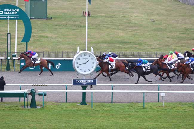 Photo d'arrivée de la course pmu PRIX DE LA DEMOISELLE DU RHUIS à CHANTILLY le Samedi 31 janvier 2026